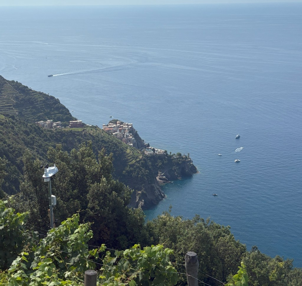 A scenic view of a coastal town on a hillside overlooking a calm blue sea, with boats in the water and lush greenery in the foreground.