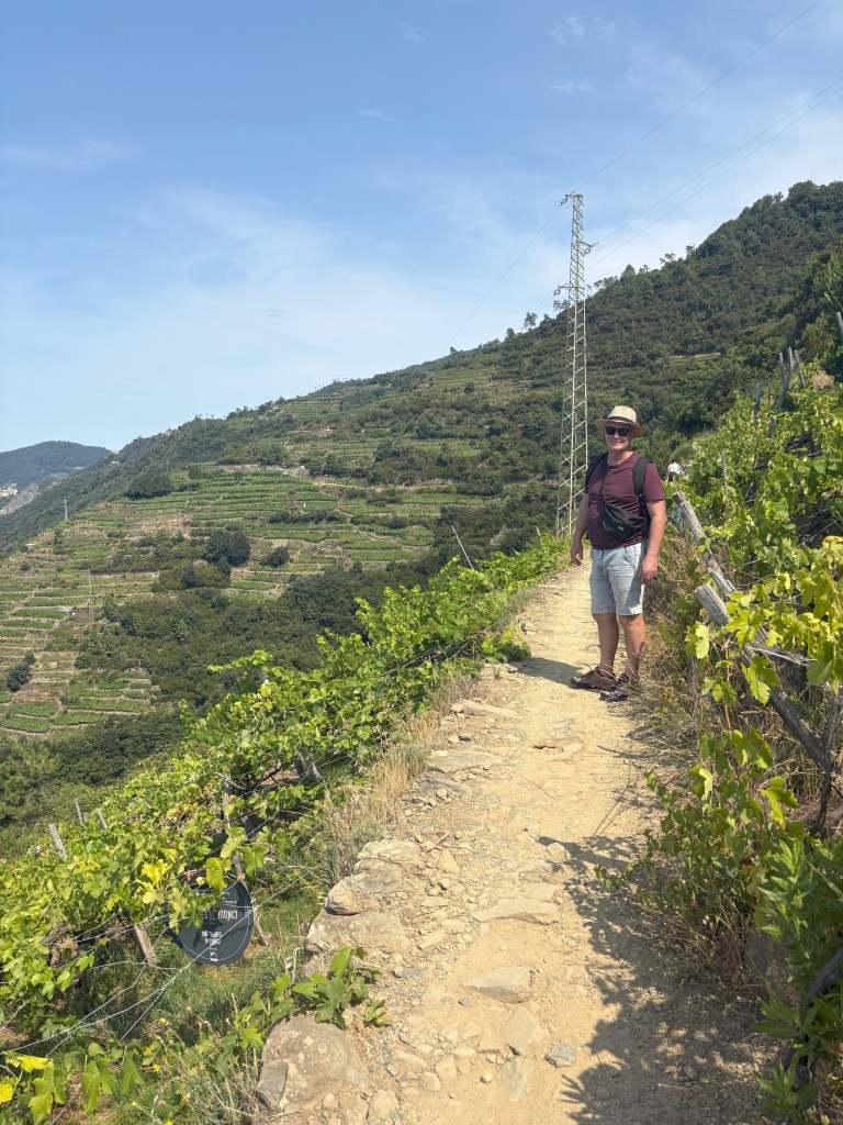 A person stands on a narrow dirt path surrounded by vineyards on a hillside, with blue sky and distant mountains in the background.
