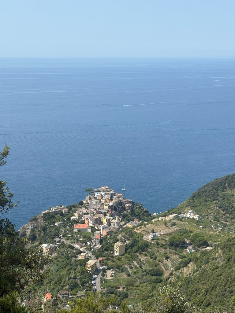 Aerial view of a coastal village with colorful buildings nestled on a hill, overlooking a calm blue sea under a clear sky.