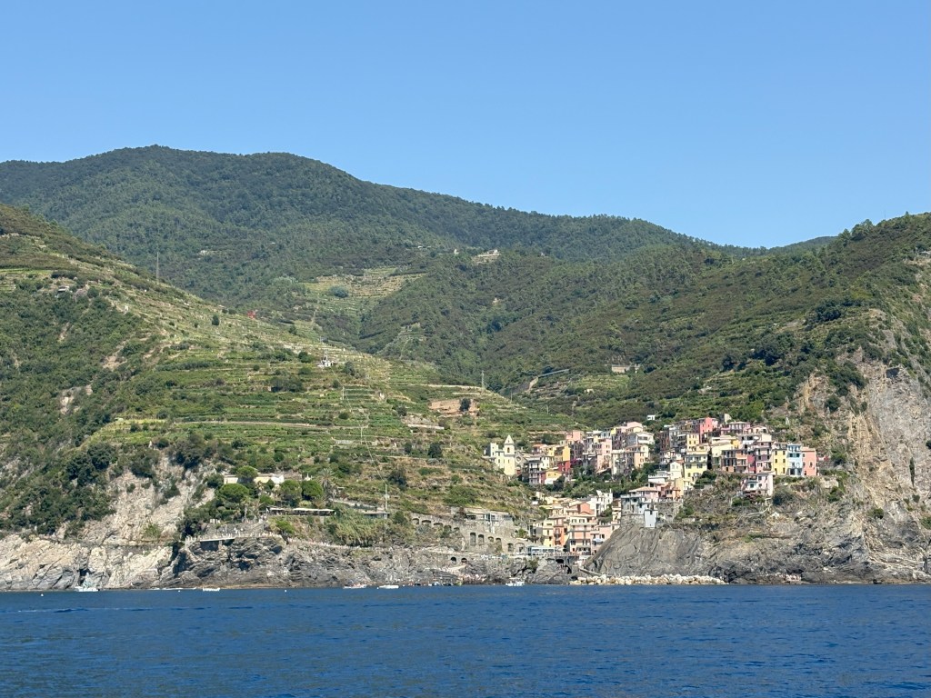 A scenic view of colorful houses built on a hillside with terraced vineyards in the foreground, overlooking a blue sea under a clear sky.